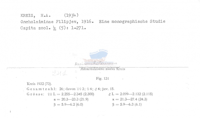 Kreisoncholaimus nudus