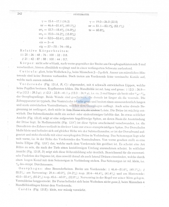 Kreisoncholaimus nudus