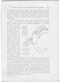 Nematode file-library of the Marine Biology Section (Ghent University, Belgium)