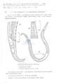 Nematode file-library of the Marine Biology Section (Ghent University, Belgium)