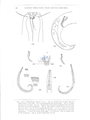 Nematode file-library of the Marine Biology Section (Ghent University, Belgium)