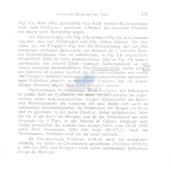 Chromadorina micoletzkyi