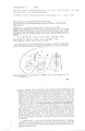Nematode file-library of the Marine Biology Section (Ghent University, Belgium)