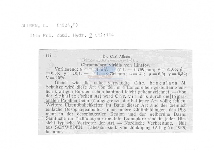 Chromadorina viridis