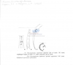 Chromadorina epidemos