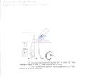 Nematode file-library of the Marine Biology Section (Ghent University, Belgium)