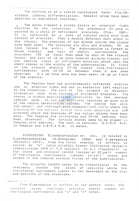 Chromadorina longispiculum