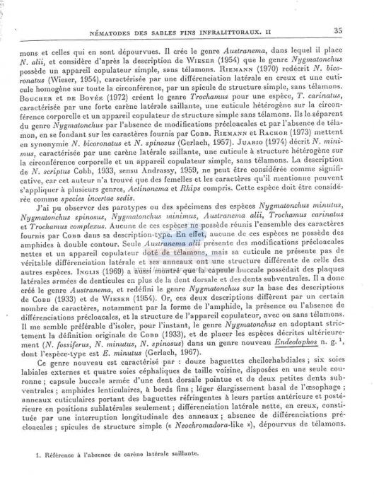 Trochamus complexus