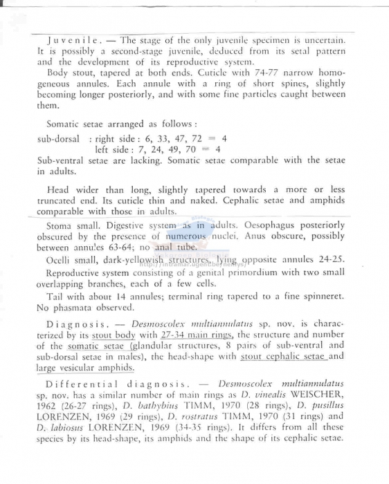 Desmoscolex multiannulatus