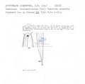 Nematode file-library of the Marine Biology Section (Ghent University, Belgium)