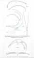 Nematode file-library of the Marine Biology Section (Ghent University, Belgium)