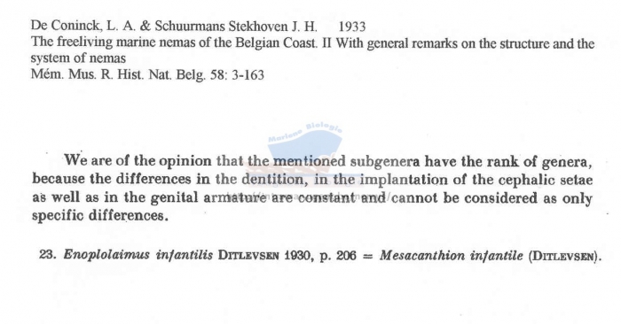 Mesacanthion infantilis