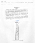 Nematode file-library of the Marine Biology Section (Ghent University, Belgium)