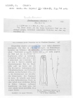 Nematode file-library of the Marine Biology Section (Ghent University, Belgium)