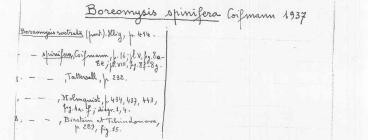 Scan taken from personal notes of H. Nouvel stored at CNRS La Rochelle (France) by Jean Paul Lagardere.