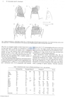 Nematode file-library of the Marine Biology Section (Ghent University, Belgium)