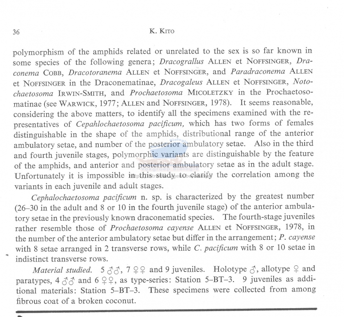 Cephalochaetosoma pacificum notium