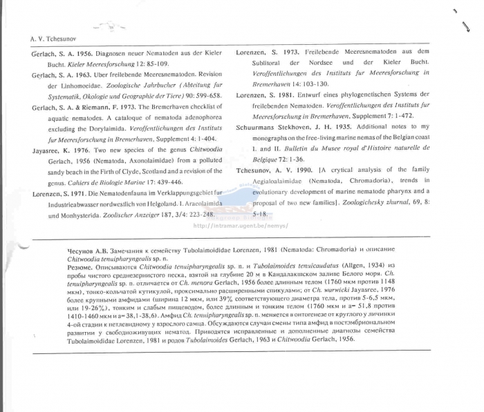 Chitwoodia tenuipharyngealis