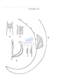 Nematode file-library of the Marine Biology Section (Ghent University, Belgium)