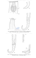 Nematode file-library of the Marine Biology Section (Ghent University, Belgium)