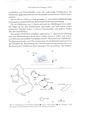 Nematode file-library of the Marine Biology Section (Ghent University, Belgium)