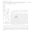 Nematode file-library of the Marine Biology Section (Ghent University, Belgium)