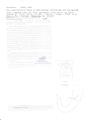 Nematode file-library of the Marine Biology Section (Ghent University, Belgium)