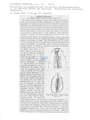 Nematode file-library of the Marine Biology Section (Ghent University, Belgium)