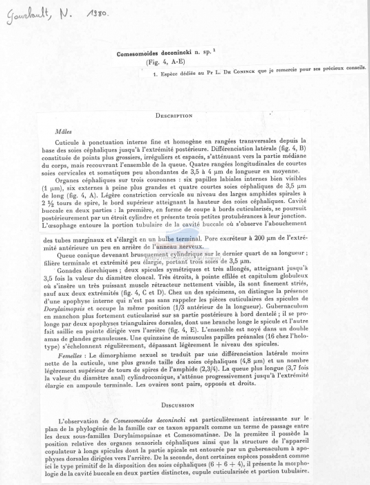 Comesomoides deconincki