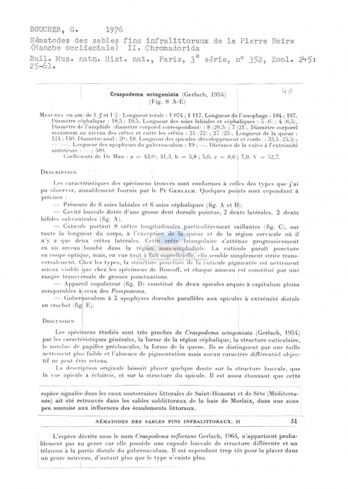 Craspodema octogoniata