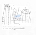 Nematode file-library of the Marine Biology Section (Ghent University, Belgium)