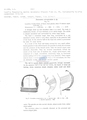 Nematode file-library of the Marine Biology Section (Ghent University, Belgium)