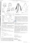 Nematode file-library of the Marine Biology Section (Ghent University, Belgium)