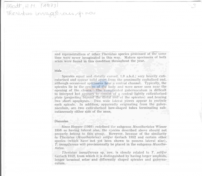 Daptonema invagiferous