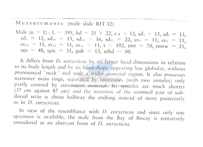 Desmolorenzenia eurycricus