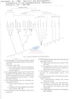 Nematode file-library of the Marine Biology Section (Ghent University, Belgium)