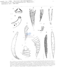 Nematode file-library of the Marine Biology Section (Ghent University, Belgium)