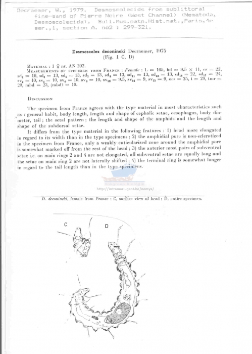Desmoscolex deconincki