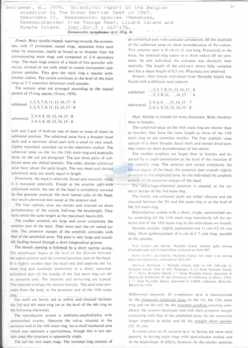 Desmoscolex nymphianus