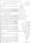 Nematode file-library of the Marine Biology Section (Ghent University, Belgium)