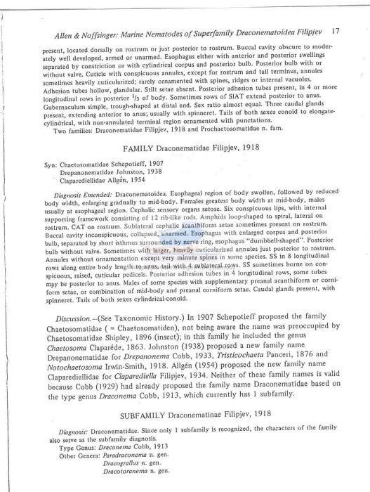 Draconematoidea