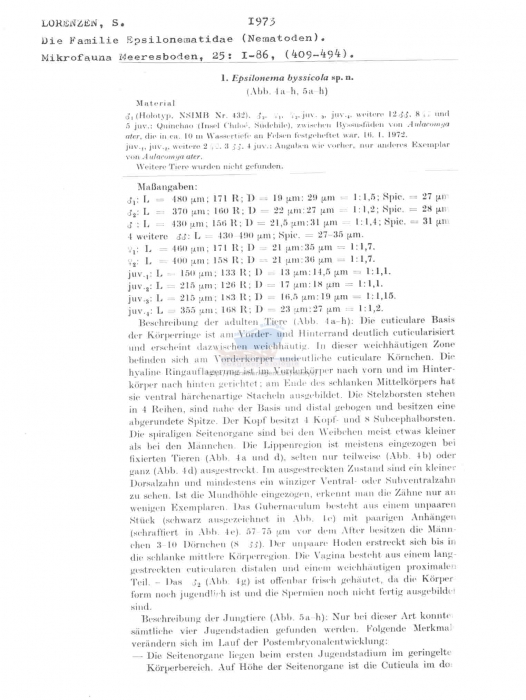 Epsilonema byssicola