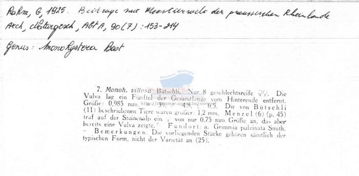 Geomonhystera villosa