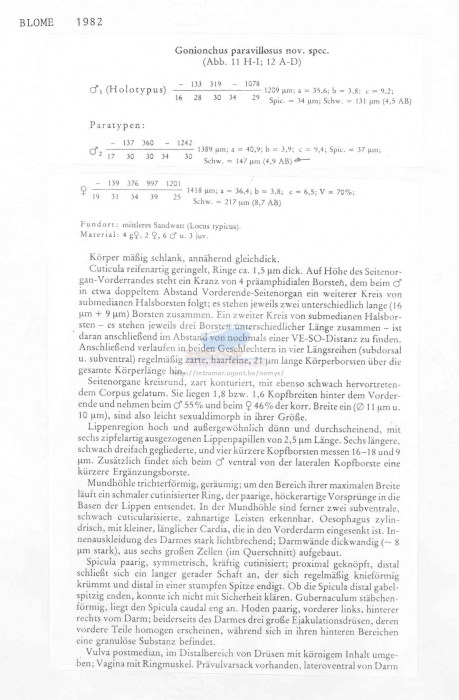 Gonionchus paravillosus