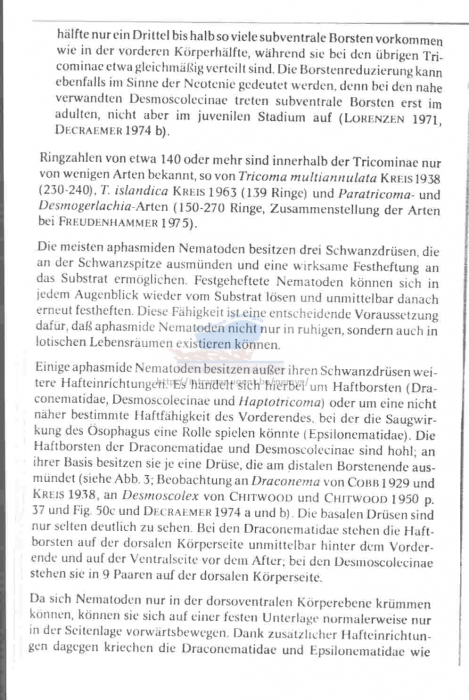 Haptotricoma arenaria