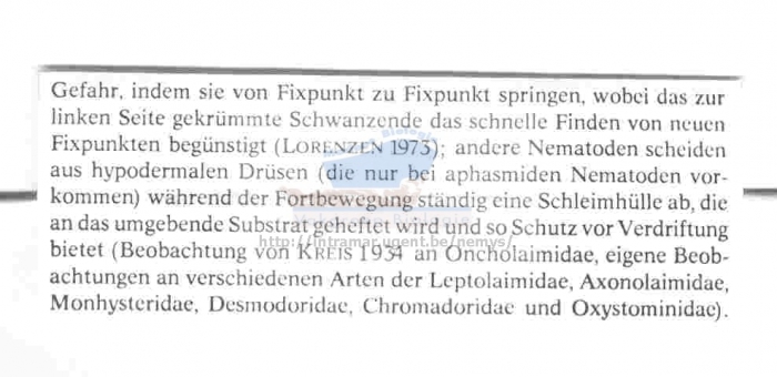 Haptotricoma arenaria