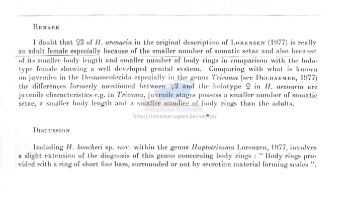 Haptotricoma boucheri