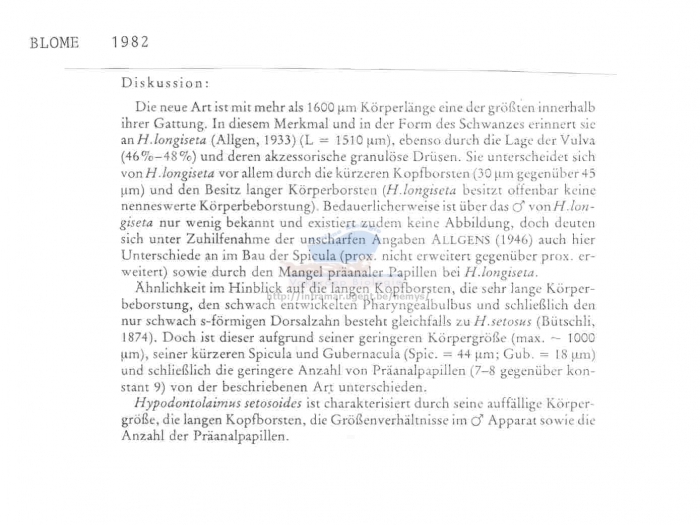 Hypodontolaimus setosoides