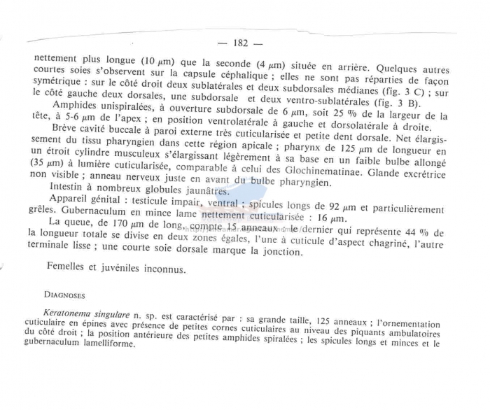 Keratonema singulare