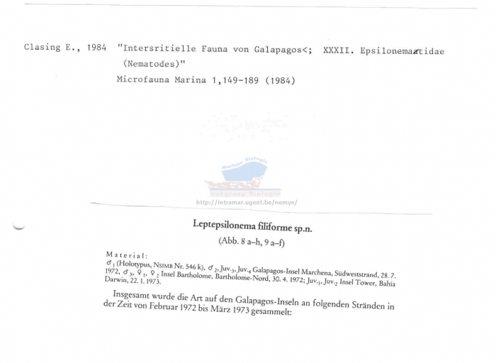 Leptepsilonema filiforme